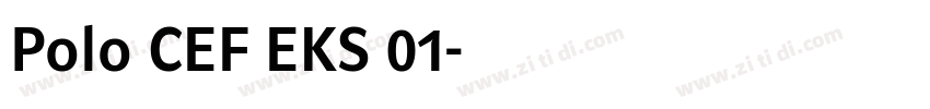 Polo CEF EKS 01字体转换
